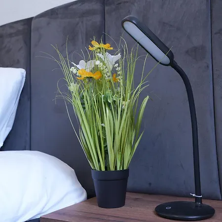 Luxury - Ia - Modern & Elegant Ii Stock