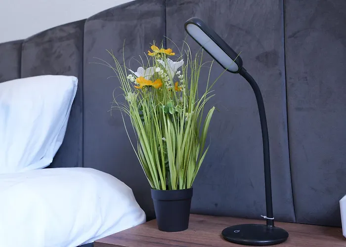 Luxury - Ia - Modern & Elegant